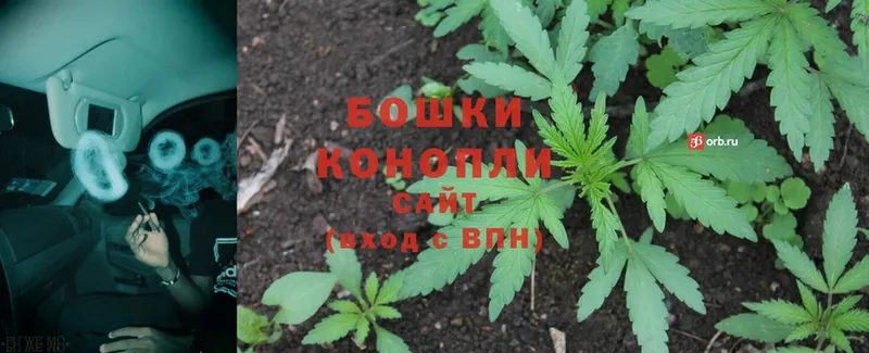 Конопля SATIVA & INDICA  Армянск 